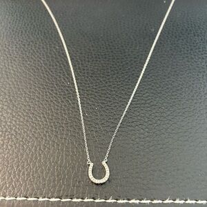 Elegant Silver Horseshoe Necklace from Kay Jewelers
